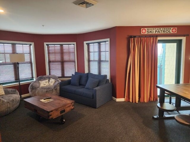 carpeted living room with plenty of natural light