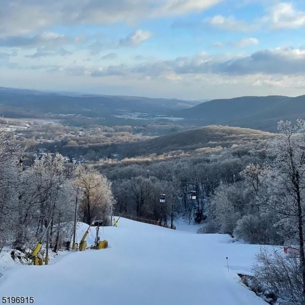 property view of mountains featuring a forest view