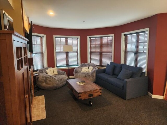 carpeted living room with a wealth of natural light