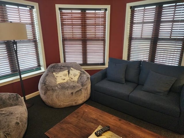 living room with baseboards and wood finished floors