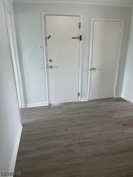 unfurnished room featuring dark wood-type flooring