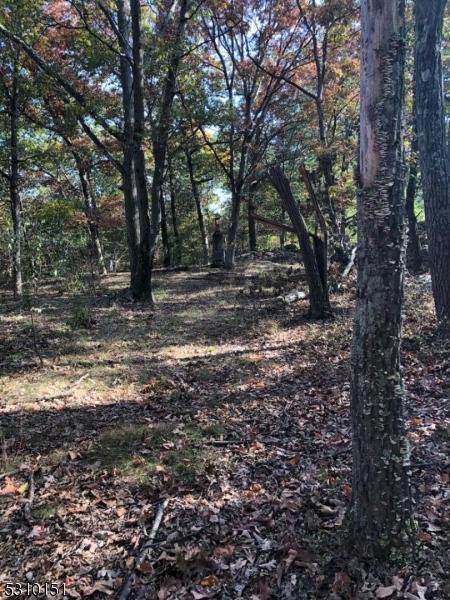 0 Rhinesmith Ave, Wanaque Boro, NJ 07465