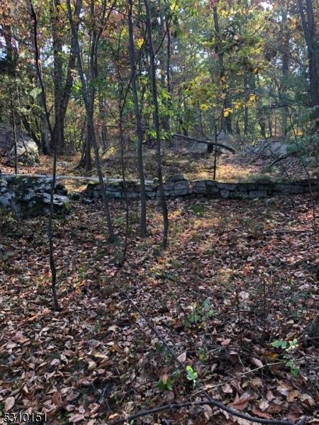 0 Rhinesmith Ave, Wanaque Boro, NJ 07465
