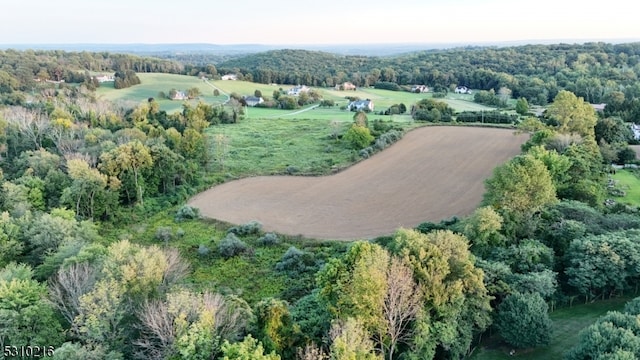 drone / aerial view featuring a rural view