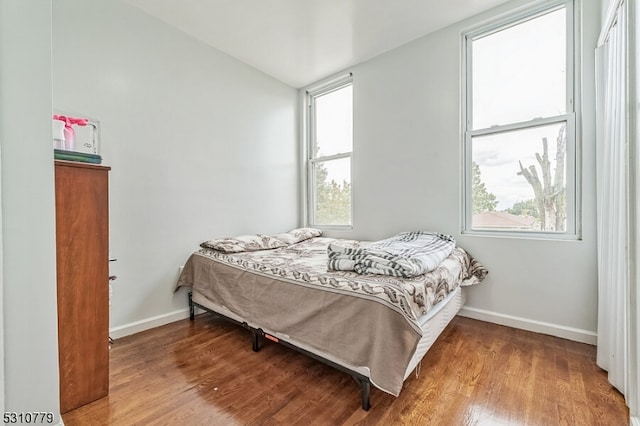 bedroom featuring multiple windows and hardwood / wood-style flooring