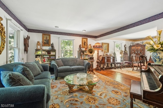 living room featuring hardwood / wood-style floors