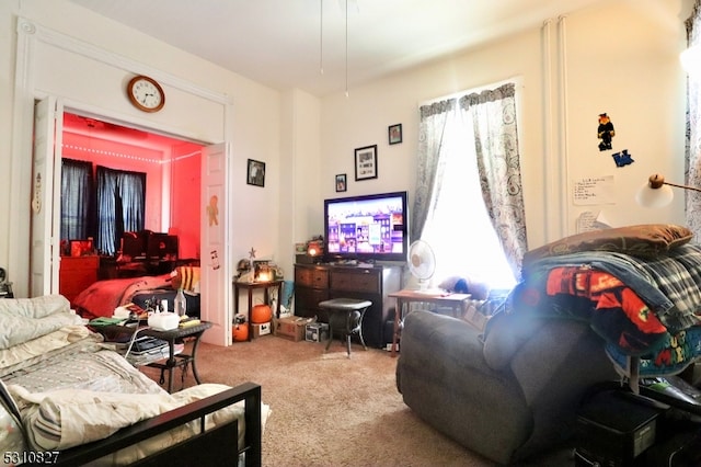 living room featuring carpet flooring