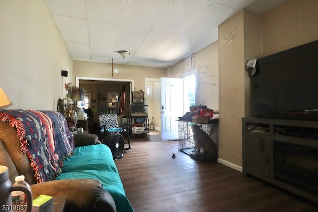 living room featuring dark hardwood / wood-style flooring