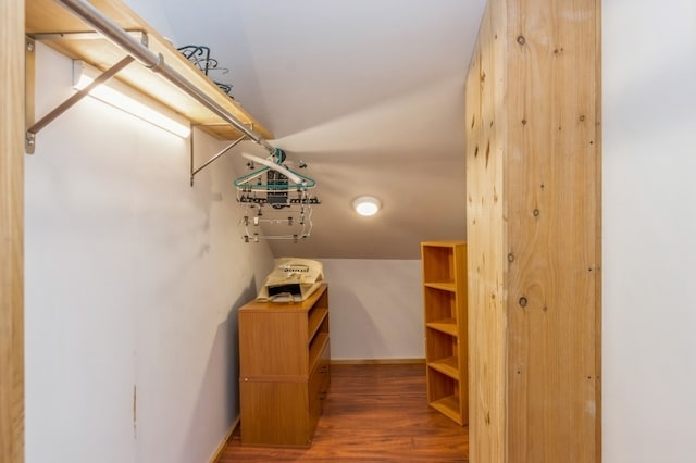 walk in closet featuring dark hardwood / wood-style flooring