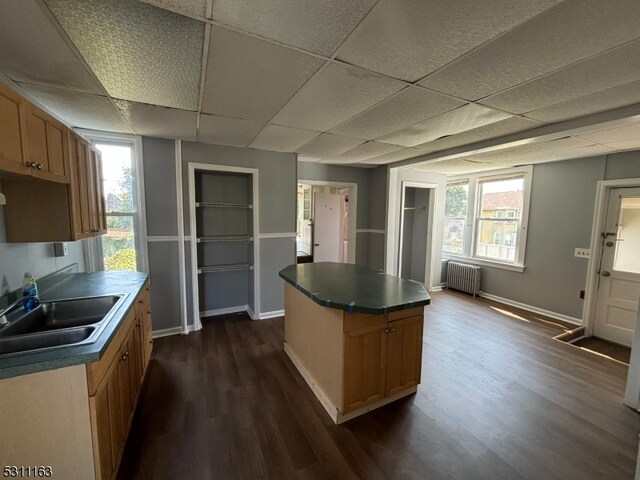 kitchen featuring a wealth of natural light, dark wood-type flooring, radiator, and sink