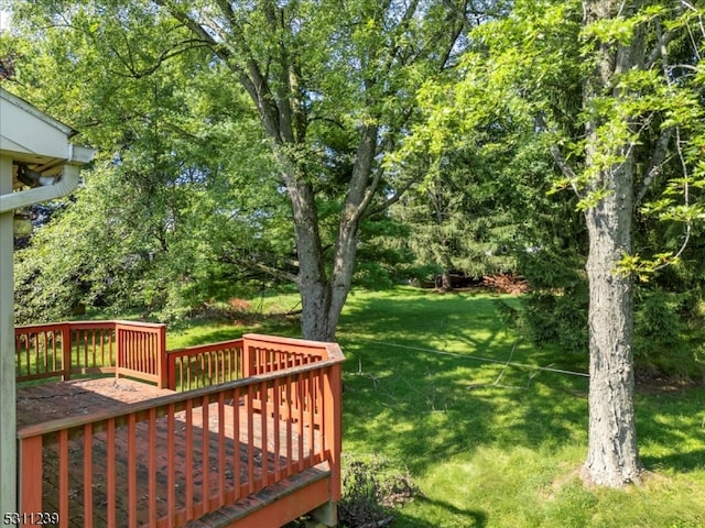 view of yard featuring a deck