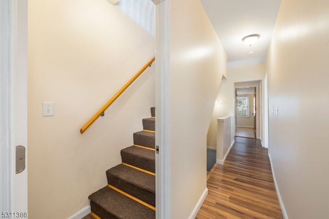 stairway with wood-type flooring