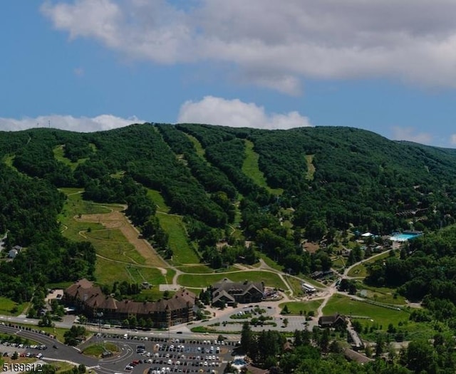 drone / aerial view with a forest view