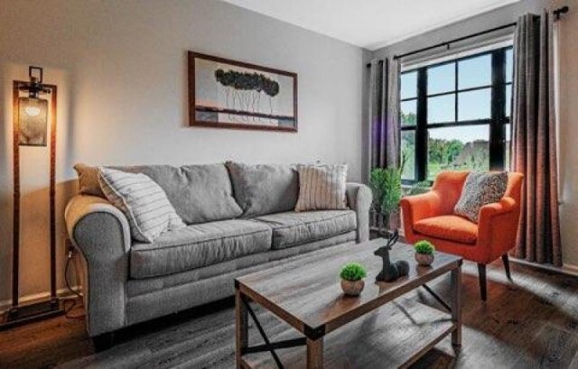 living room featuring dark hardwood / wood-style floors