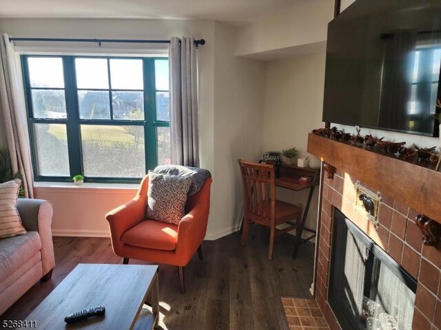 living area with a fireplace and dark hardwood / wood-style floors