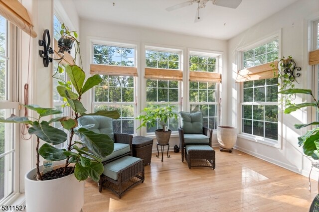 sunroom with ceiling fan