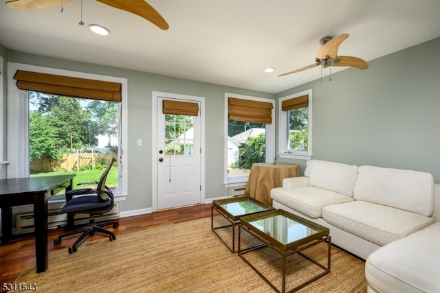 living room featuring ceiling fan and wood-type flooring