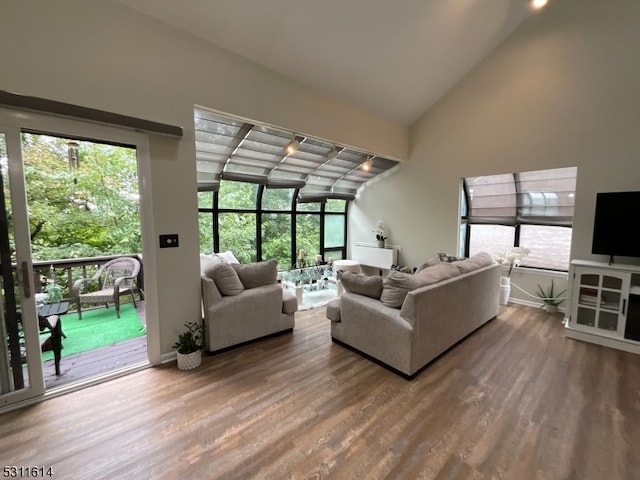 living room with lofted ceiling and wood-type flooring