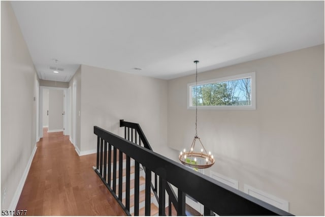 hall with an inviting chandelier and hardwood / wood-style flooring