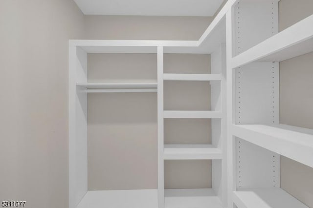 view of spacious closet