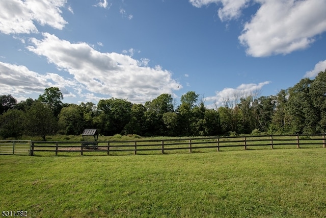 view of yard with a rural view