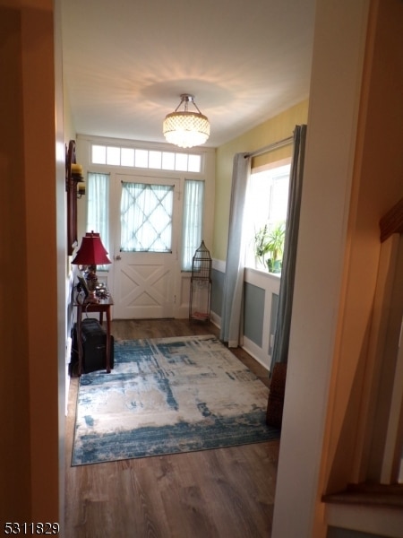 foyer entrance with a wealth of natural light and dark hardwood / wood-style flooring