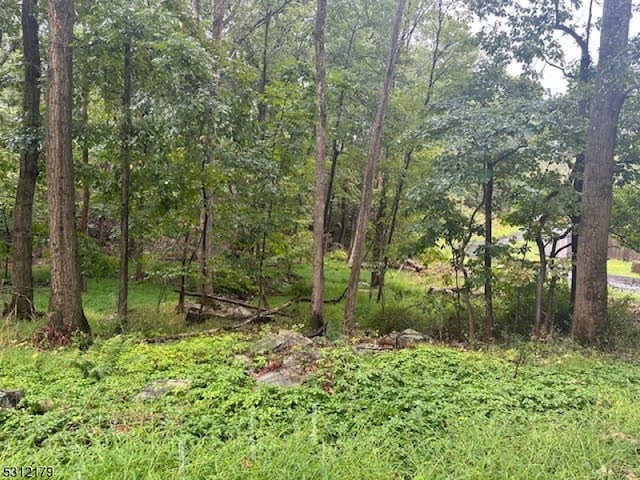 111 Wellesley Trl, Hopatcong Boro NJ, 07843 land for sale