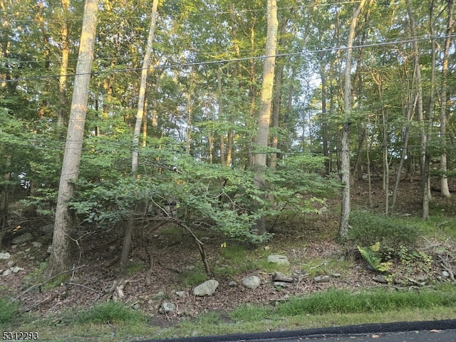 35 Mountain Trl, Hopatcong Boro NJ, 07843 land for sale