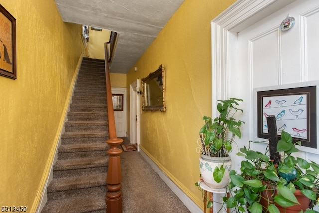 staircase with carpet