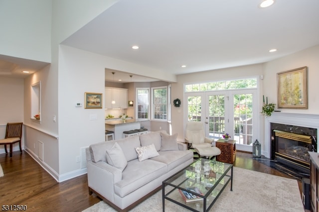 living room featuring dark wood-type flooring and a premium fireplace