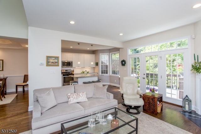 living room featuring dark hardwood / wood-style floors