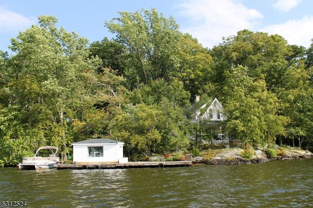 dock area featuring a water view