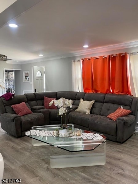 living room with wood-type flooring and crown molding