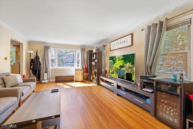 living room featuring ornamental molding and wood-type flooring