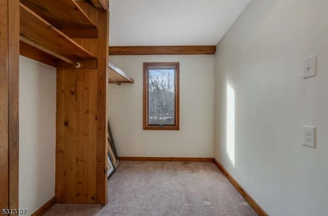 spacious closet featuring light colored carpet