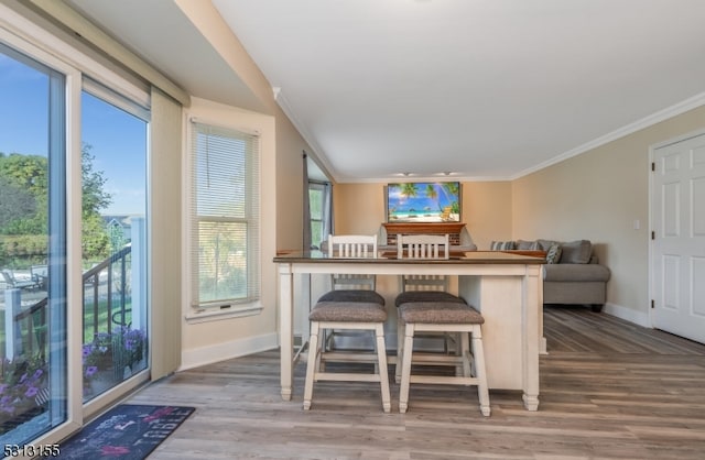 dining area featuring ornamental molding, hardwood / wood-style floors, and a wealth of natural light