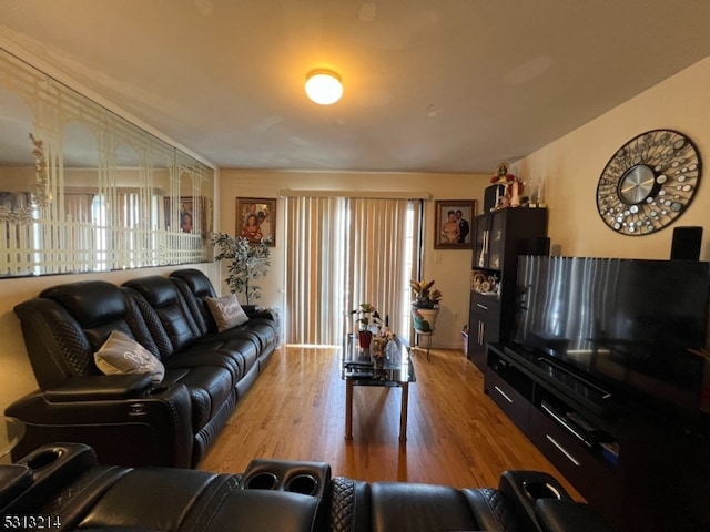 living room with wood-type flooring