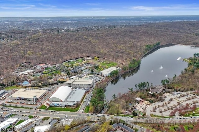 birds eye view of property featuring a water view and a wooded view