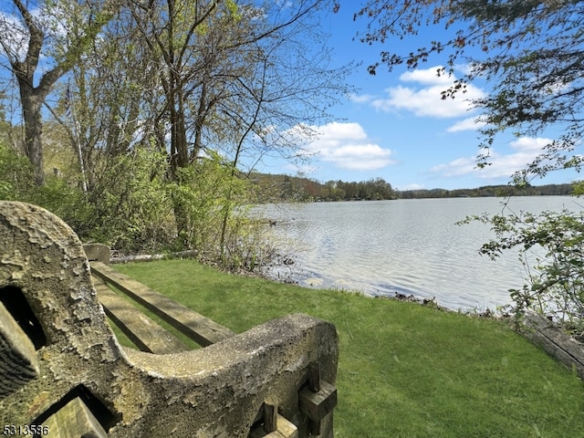 view of water feature