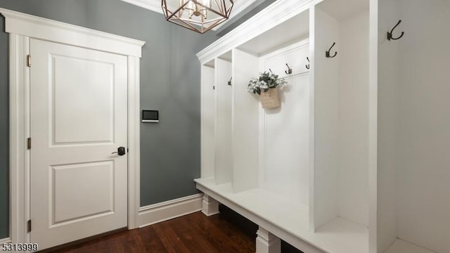 mudroom with crown molding and dark wood-type flooring