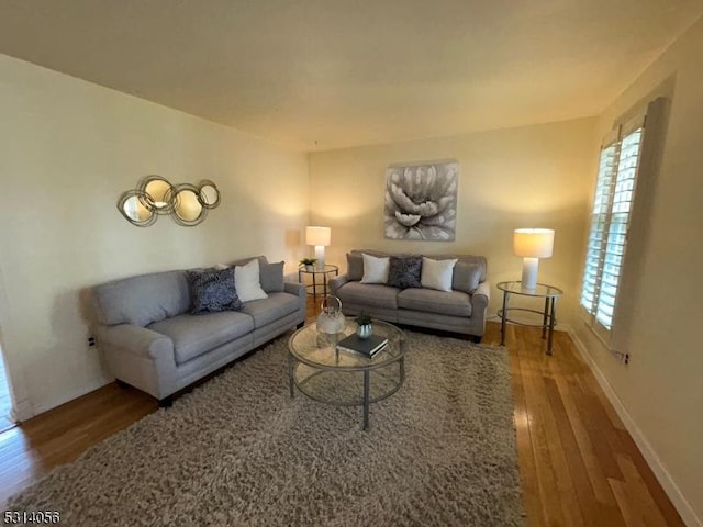 living room featuring baseboards and wood finished floors