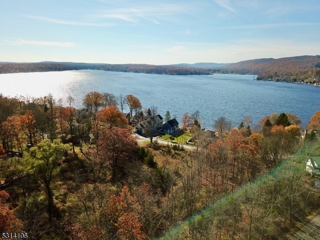 water view featuring a mountain view