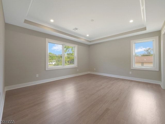 unfurnished room featuring a tray ceiling, plenty of natural light, and hardwood / wood-style floors