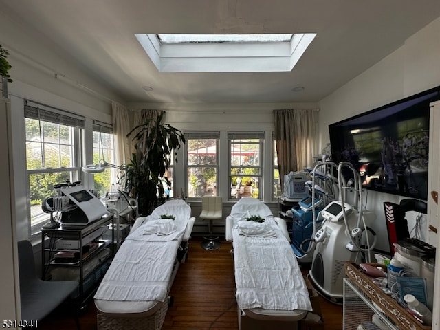 office featuring a wealth of natural light, a skylight, and dark hardwood / wood-style floors