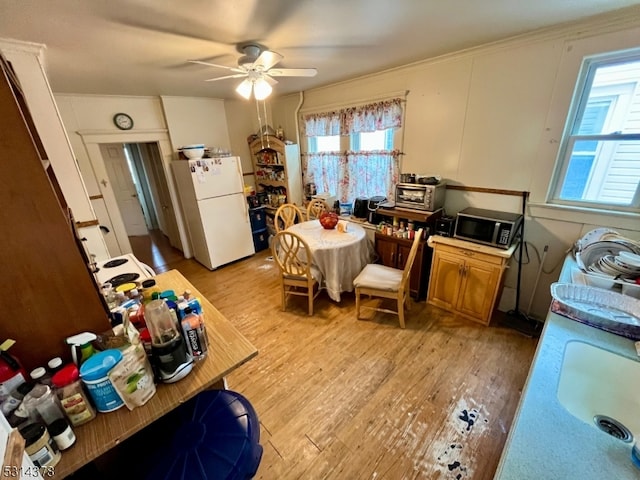 dining room with light hardwood / wood-style floors and ceiling fan