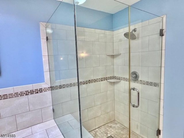 bathroom featuring a shower with door