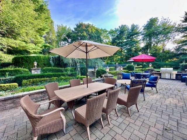 view of patio / terrace with exterior kitchen