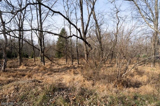 40 W Springtown Rd, Washington Twp NJ, 07853 land for sale