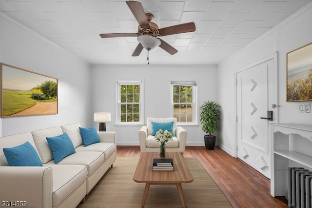 living room featuring ceiling fan, hardwood / wood-style flooring, and crown molding