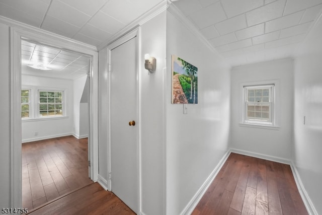 hall featuring crown molding and dark hardwood / wood-style flooring